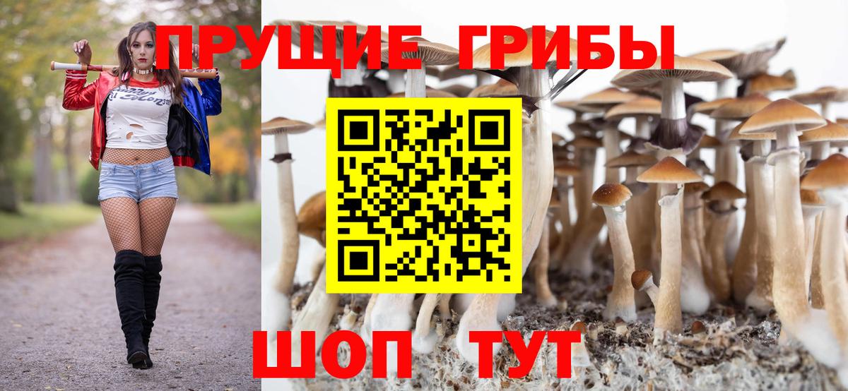 Галлюциногенные грибы Cubensis  Вход с VPN  Солнечногорск  Галлюциногенные грибы Magic Shrooms 