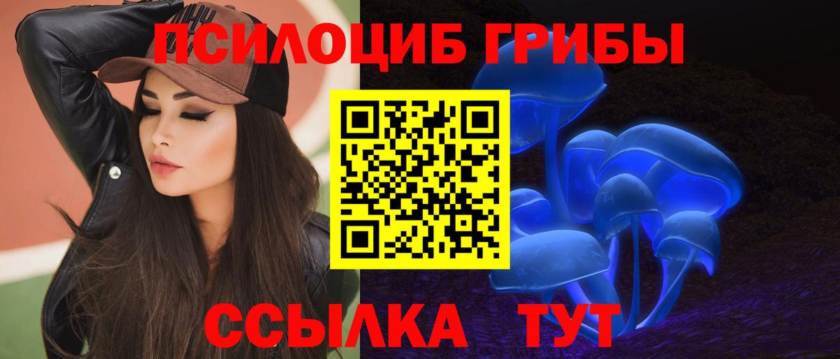 Галлюциногенные грибы Psilocybe Солнечногорск